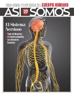 Así Somos - El cuerpo humano